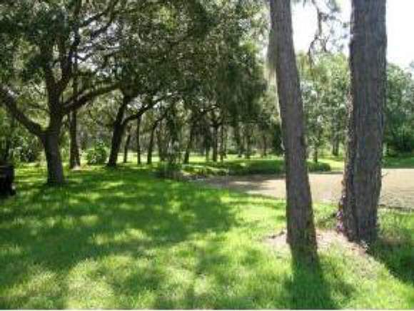 540 Chase Hammock Road Merritt Island, FL 32953 - Photo 1 of 7 Primary Photo