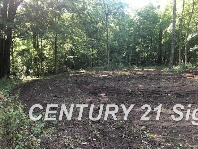 9085 Birch Run Road Millington, MI 48746 - Photo 12 of 31