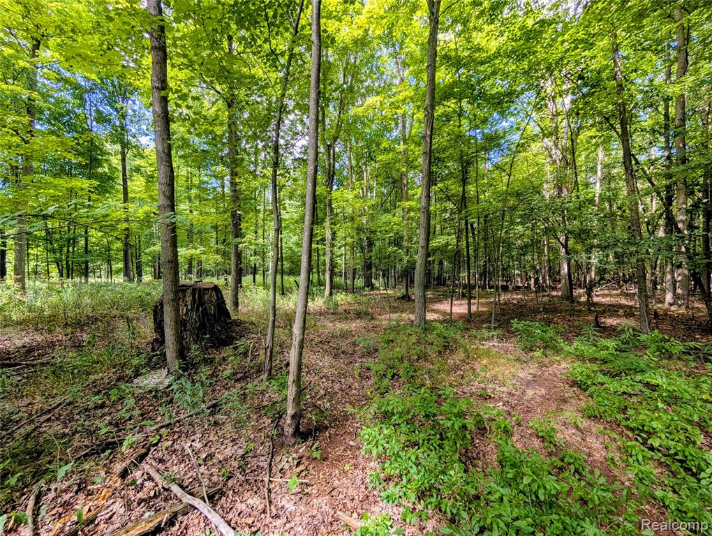 0 South Maywood Road Ashley, MI 48806 - Photo 28 of 32