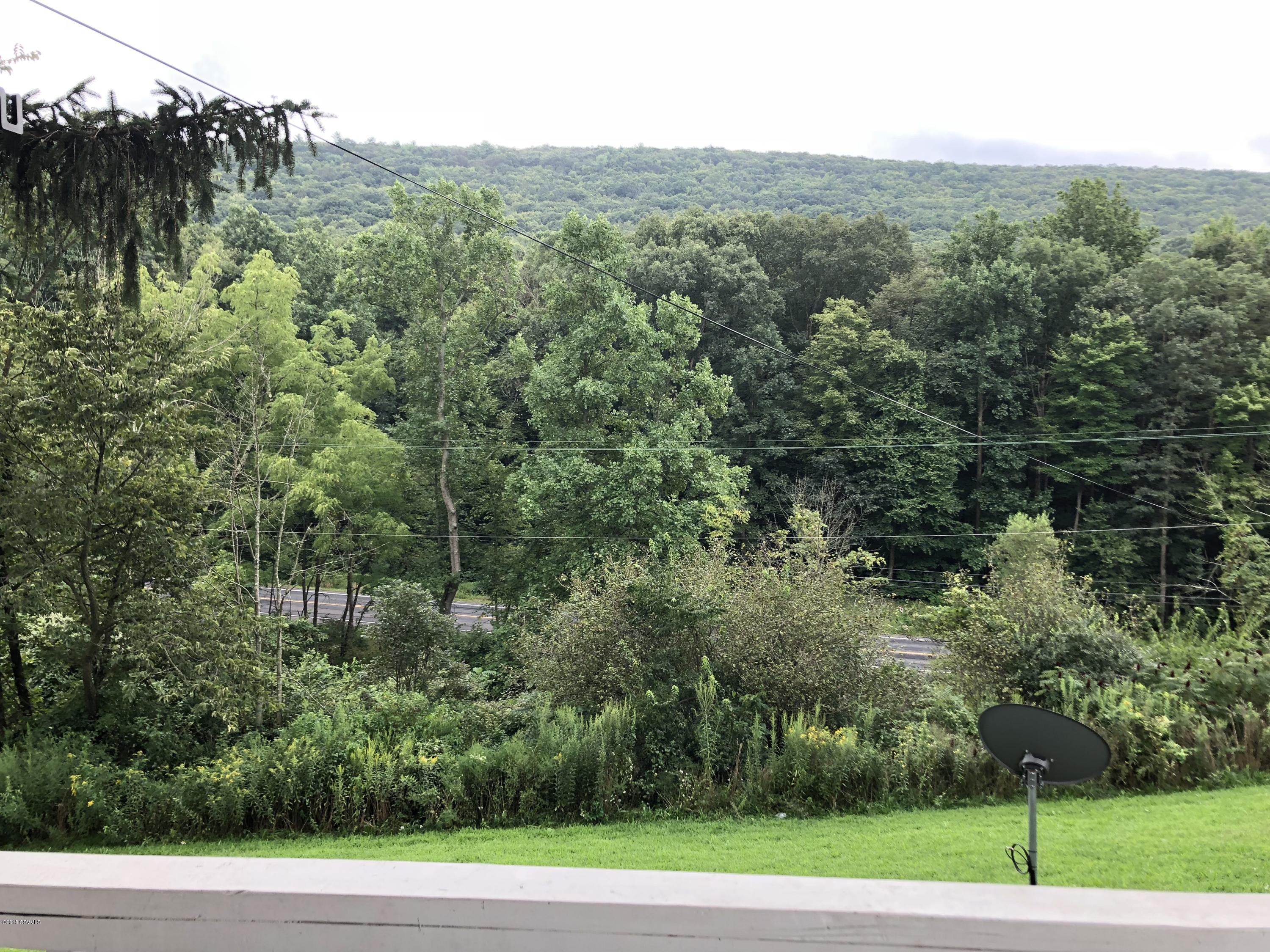 41 Summit Road Middleburg, PA 17842 - Photo 6 of 33