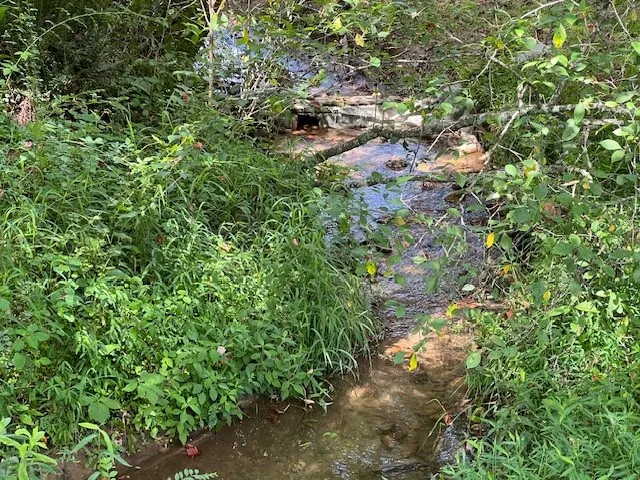 a backyard of a house