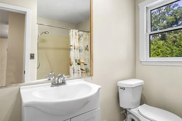 a bathroom with a sink a toilet and a mirror