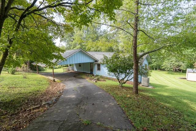 a view of a yard with a tree
