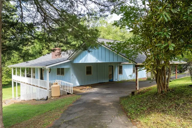 a view of a yard with plants and large trees