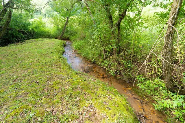 a view of a lush green hillside and a houses