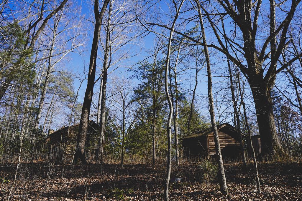 Cooksburg Road Chatham, VA 24531 - Photo 24 of 50 Gallery Image 24