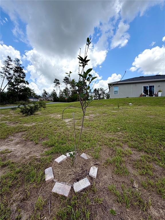 15943 Southwest 53rd Court Ocala, FL 34473 - Photo 19 of 19