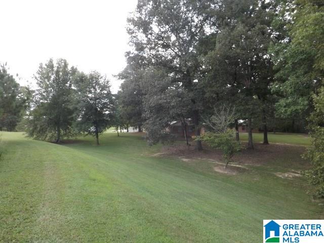435 Wow Road, Unit 59 Blountsville, AL 35031 - Photo 31 of 49