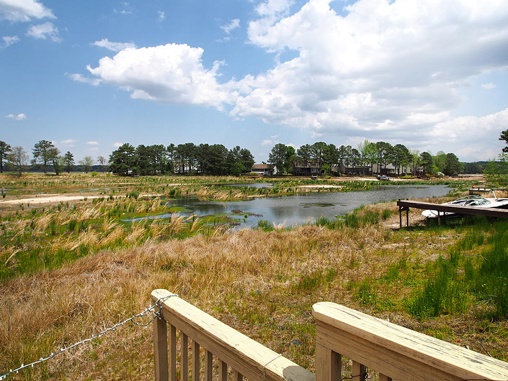 683 Cedar Point Vass, NC 28394 - Photo 29 of 39 deck2