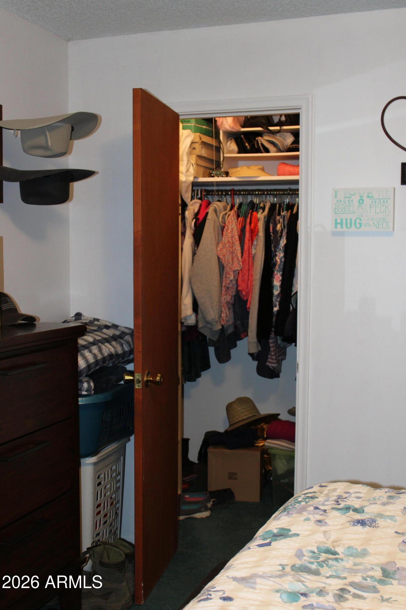 6830 North Frontier Road McNeal, AZ 85617 - Photo 26 of 46 IMG_0021