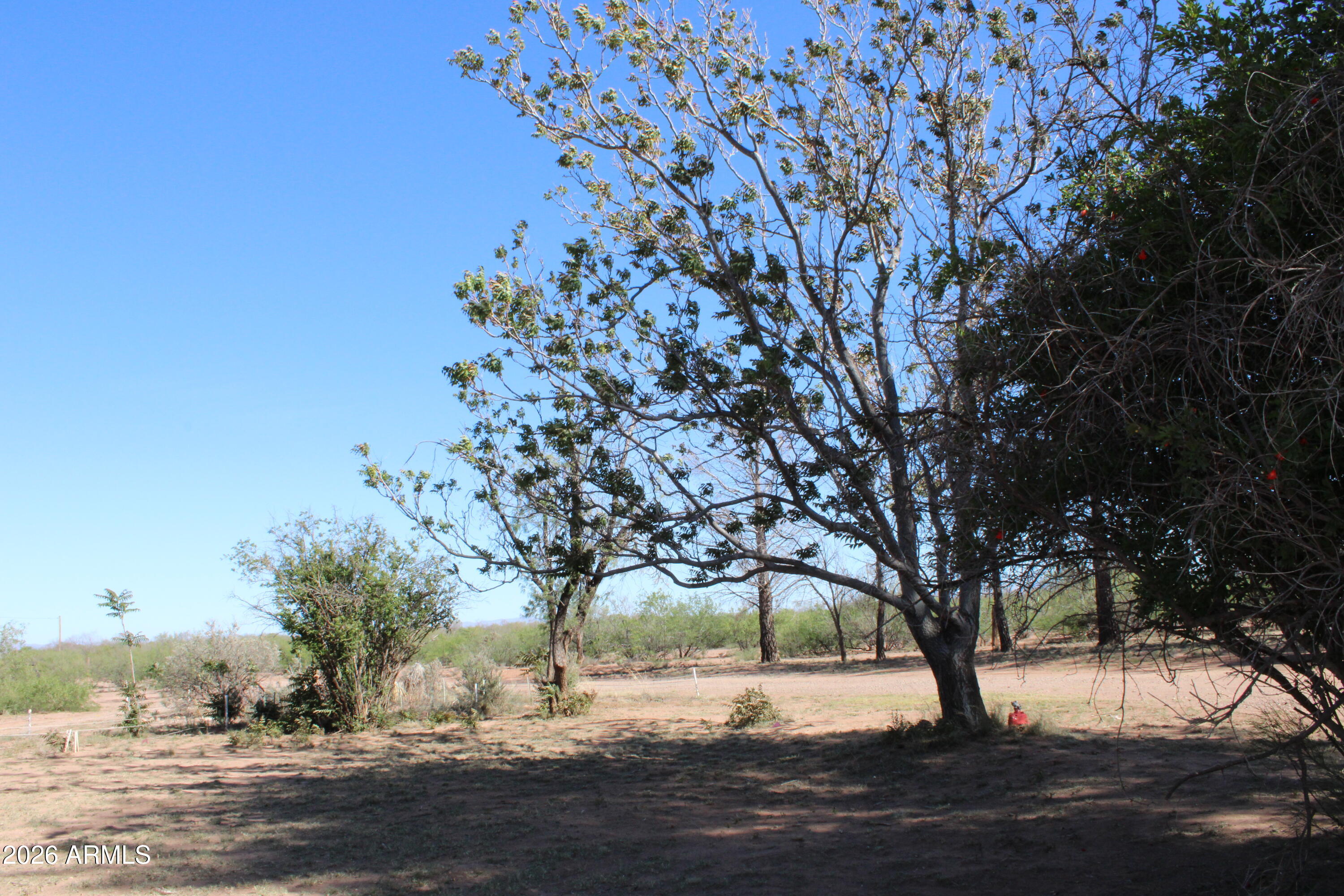 6830 North Frontier Road McNeal, AZ 85617 - Photo 41 of 46 IMG_0032