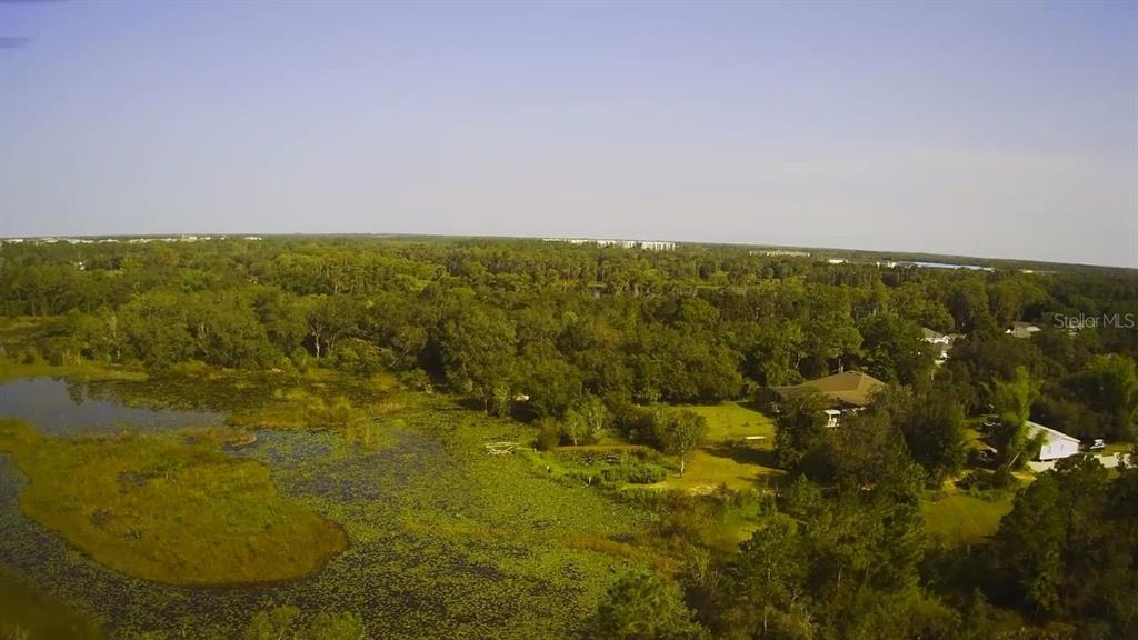 14913 Arrena Road Winter Garden, FL 34787 - Photo 4 of 8 a view of an ocean