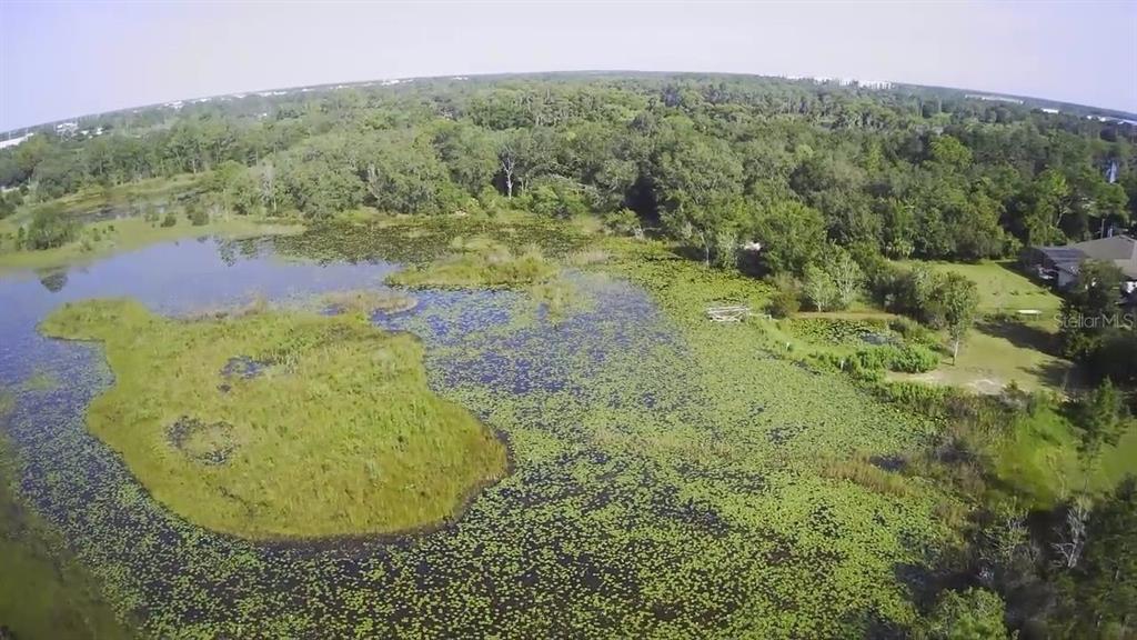 14913 Arrena Road Winter Garden, FL 34787 - Photo 6 of 8 a view of a swimming pool in a field