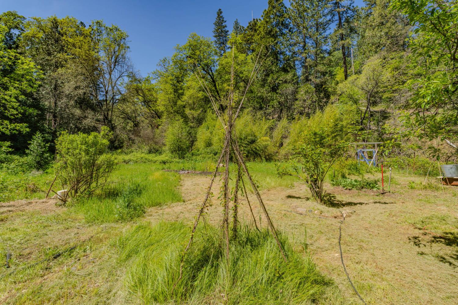 4040 Cedar Creek Road Fiddletown, CA 95629 - Photo 45 of 71