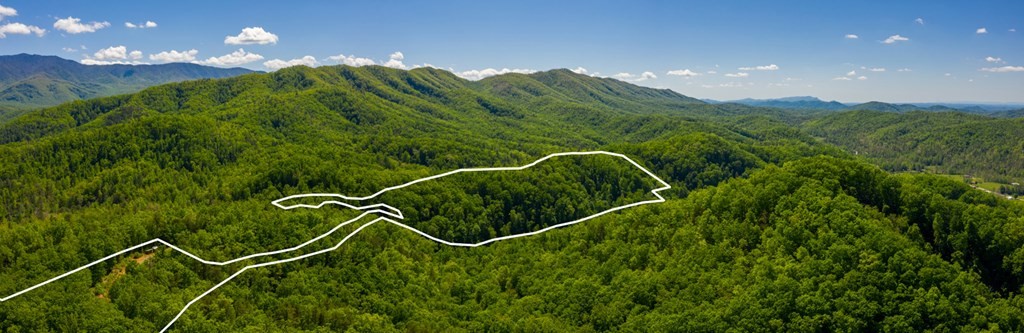 0 Henry Town Road Sevierville, TN 37876 - Photo 28 of 38 Gallery Image 28