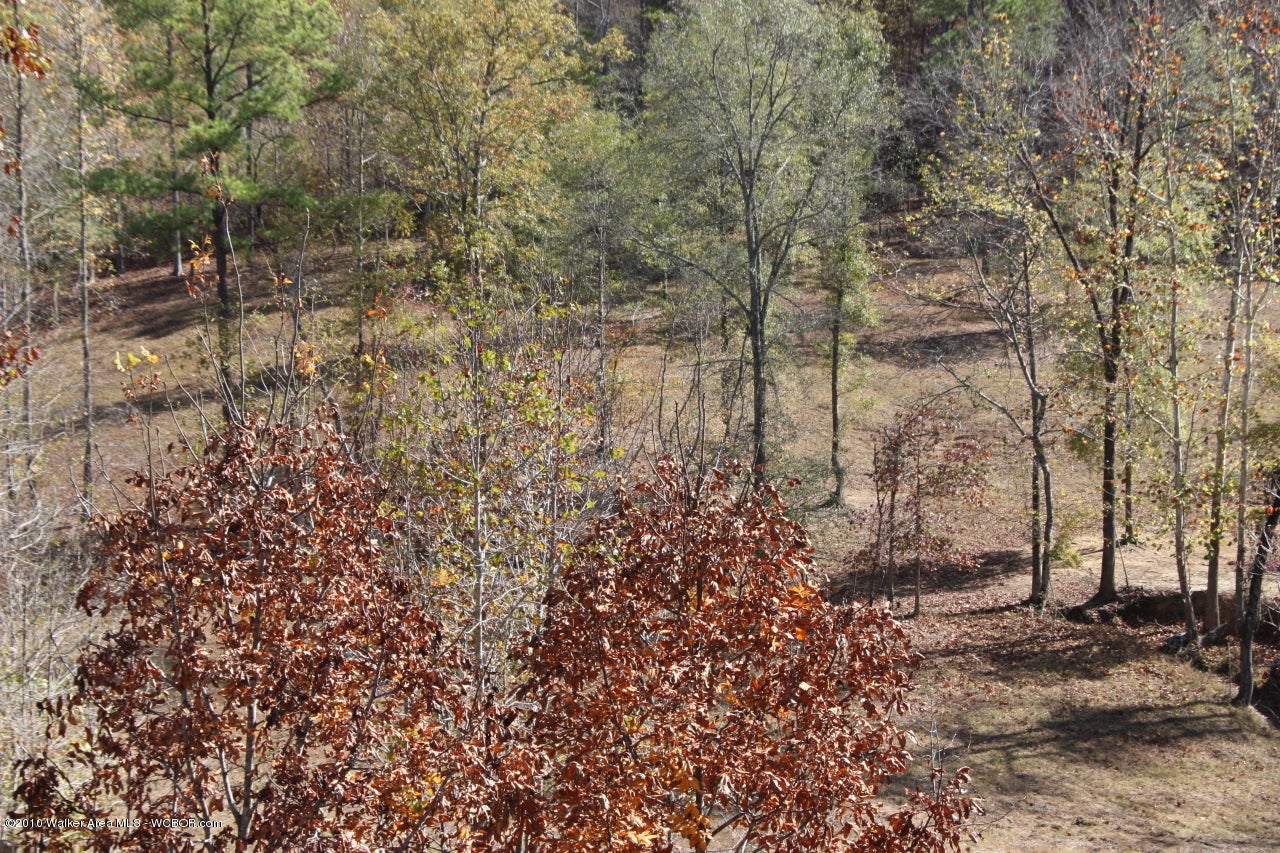 675 Ranchero Drive Jasper, AL 35501 - Photo 2 of 4 Gallery Image 2