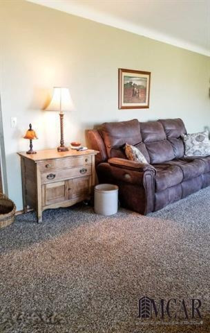 8211 Buckeye Road Waldron, MI 49288 - Photo 4 of 25 3451903-3