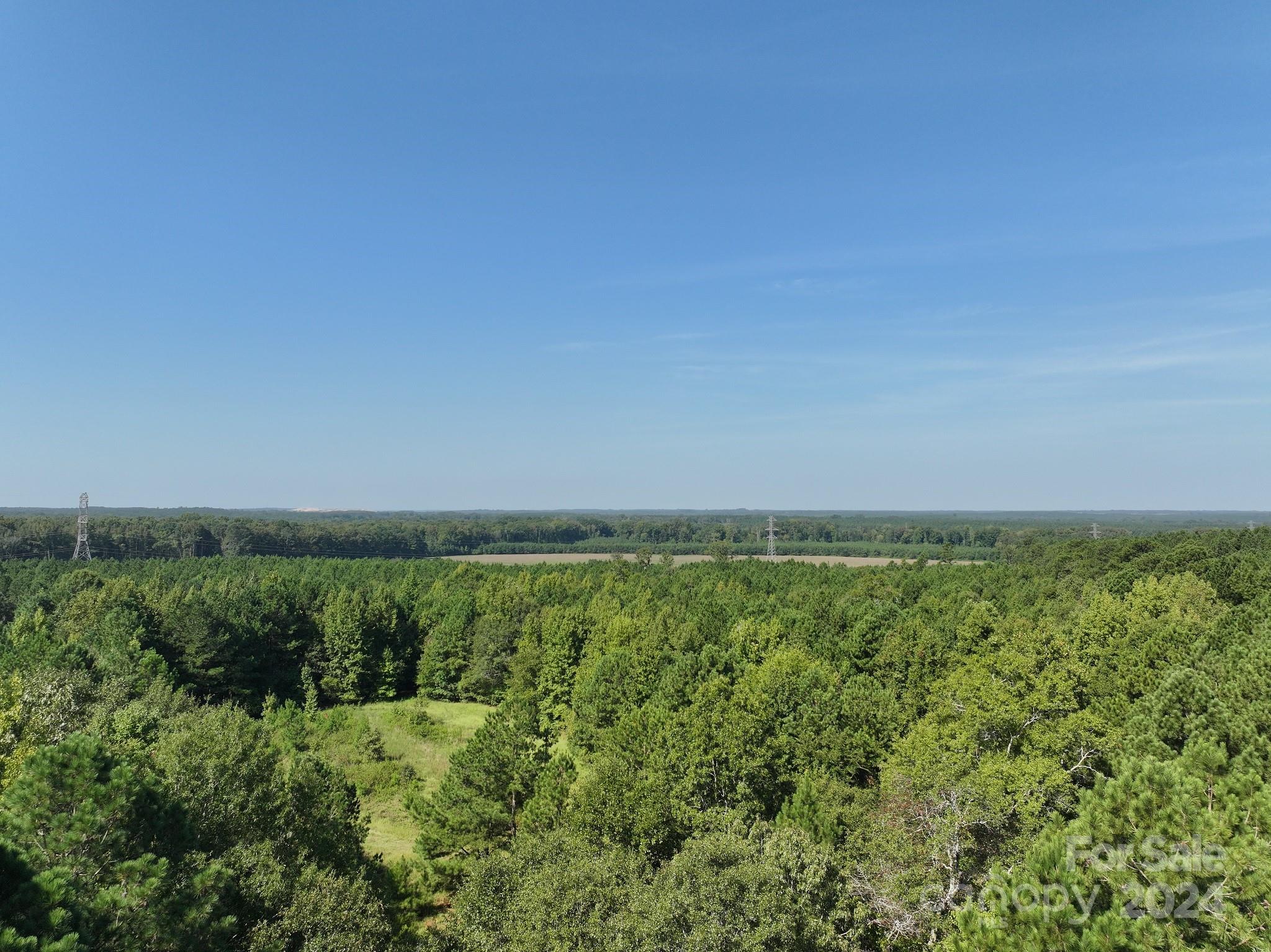256 Trench Road Wadesboro, NC 28170 - Photo 11 of 12 Gallery Image 11