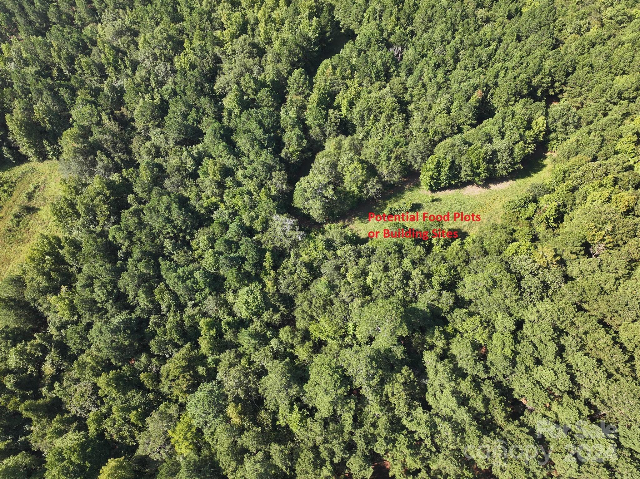 256 Trench Road Wadesboro, NC 28170 - Photo 4 of 12 Gallery Image 4