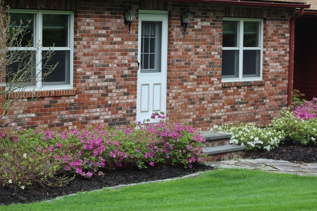 65 Purgatory Road Sutton, MA 01590 - Photo 8 of 40 a view of a potted plant sitting in front of a house