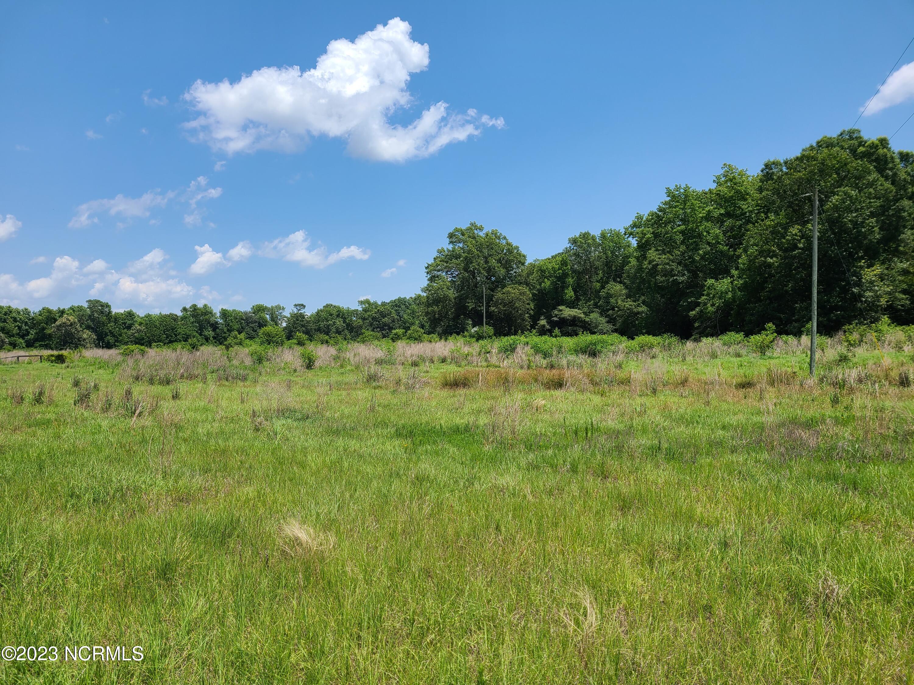 0 Basstown Road Clinton, NC 28328 - Photo 3 of 7 20230627_134904