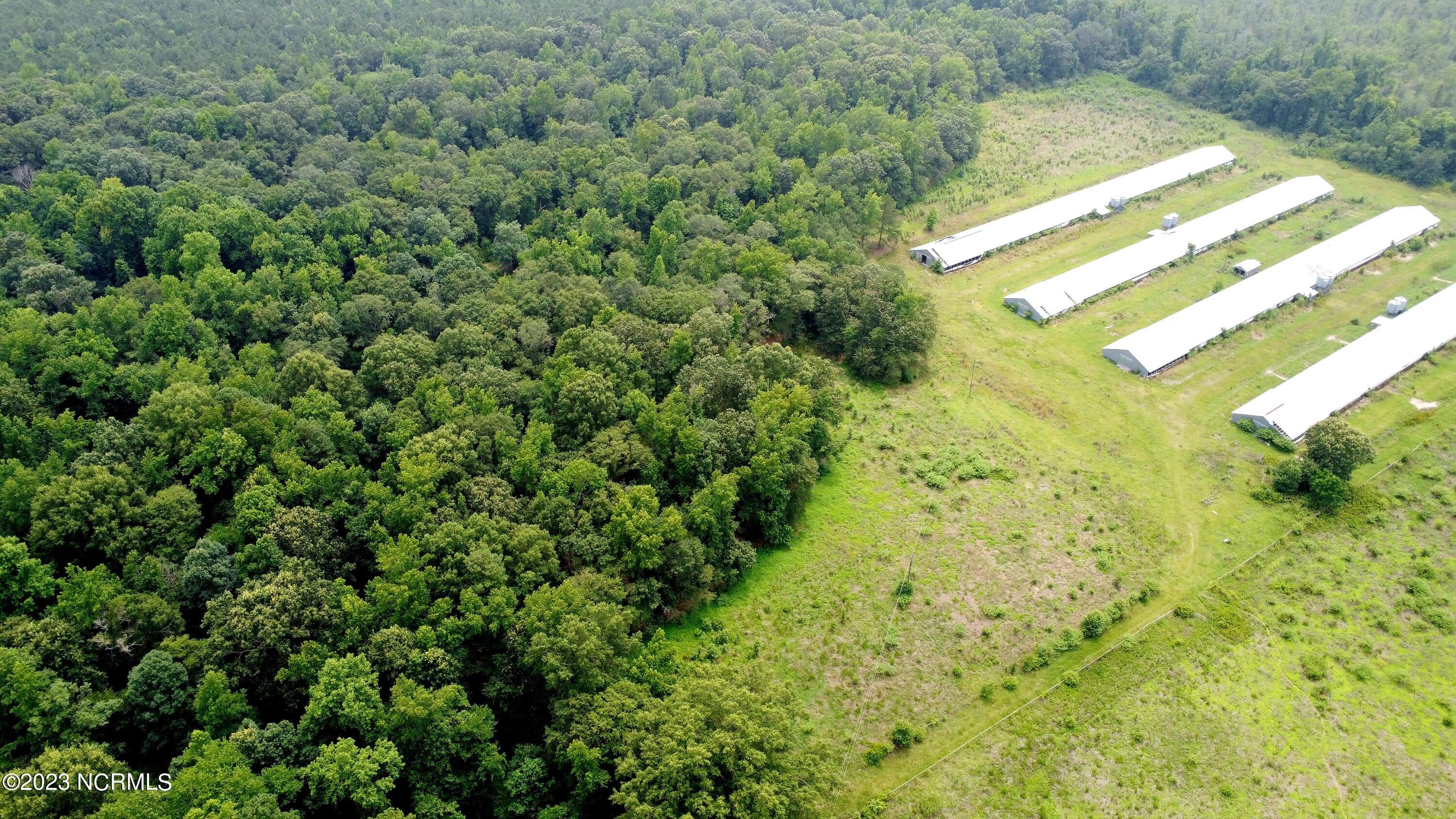 0 Basstown Road Clinton, NC 28328 - Photo 6 of 7 DJI_0047