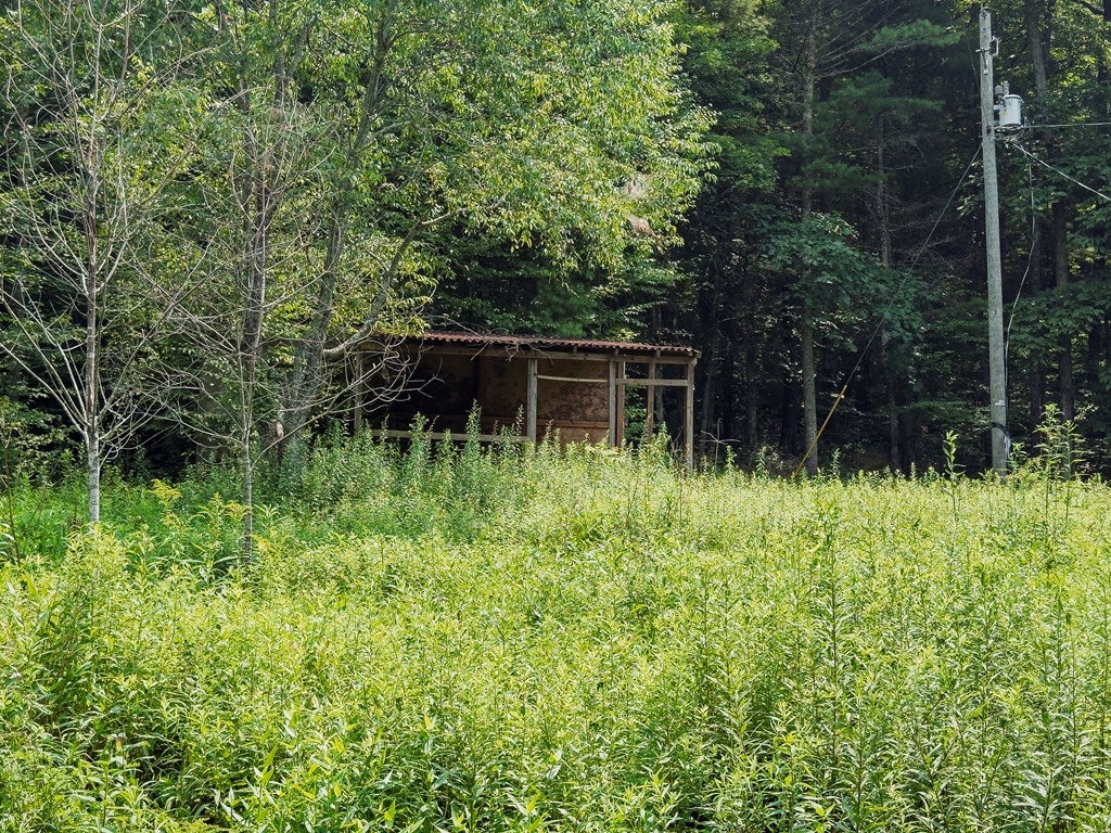 154 Buffalo Road, Unit 73A11 Dugspur, VA 24325 - Photo 3 of 41 Gallery Image 3