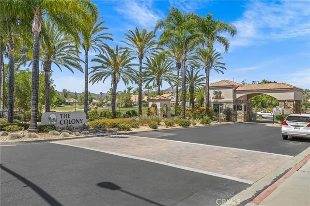 a view of a yard with plants and large trees