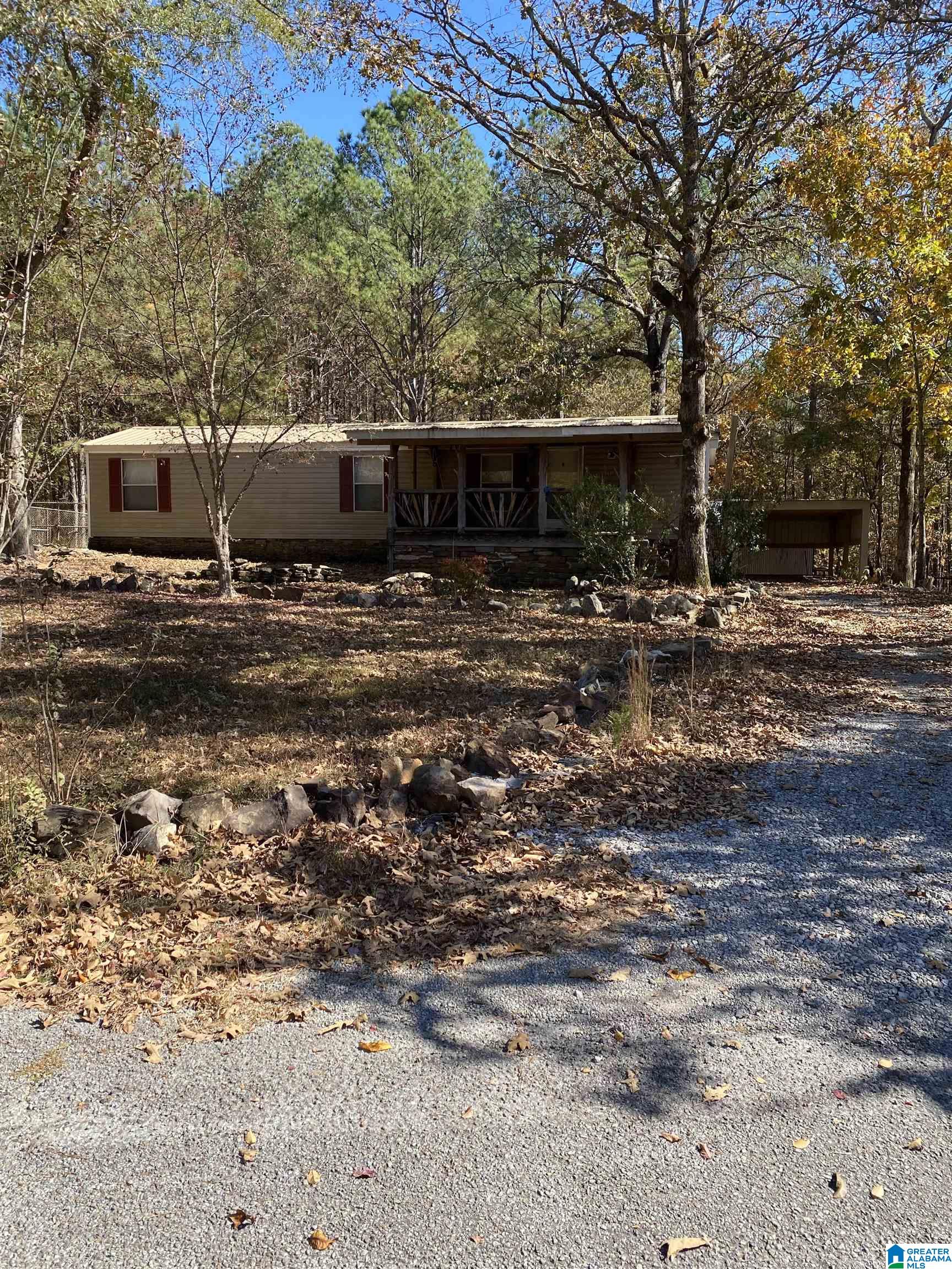 7512 Baby Doe Road Brookwood, AL 35444 - Photo 1 of 29