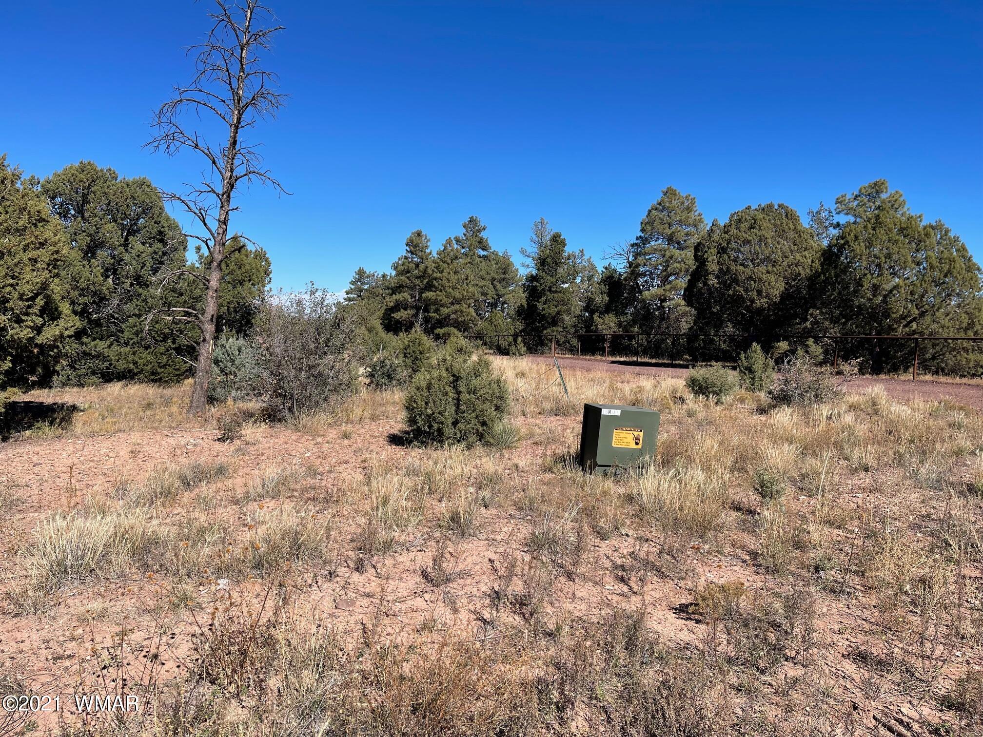0 East Dakota & Sunburst Roads Show Low, AZ 85901 - Photo 5 of 8