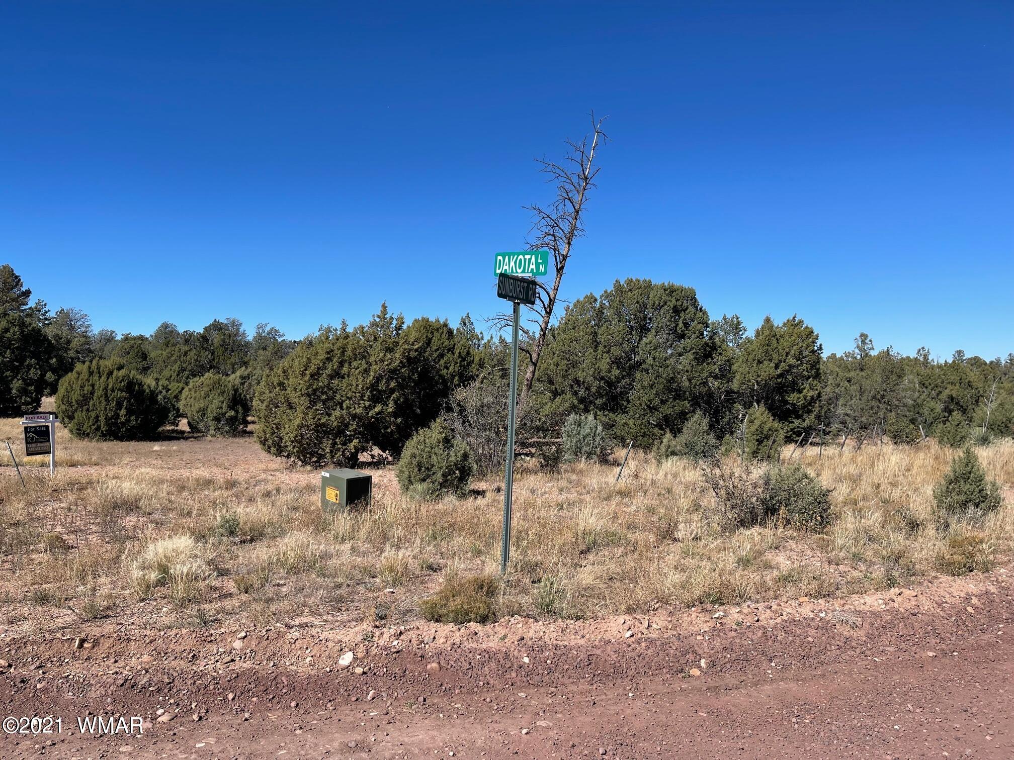 0 East Dakota & Sunburst Roads Show Low, AZ 85901 - Photo 6 of 8