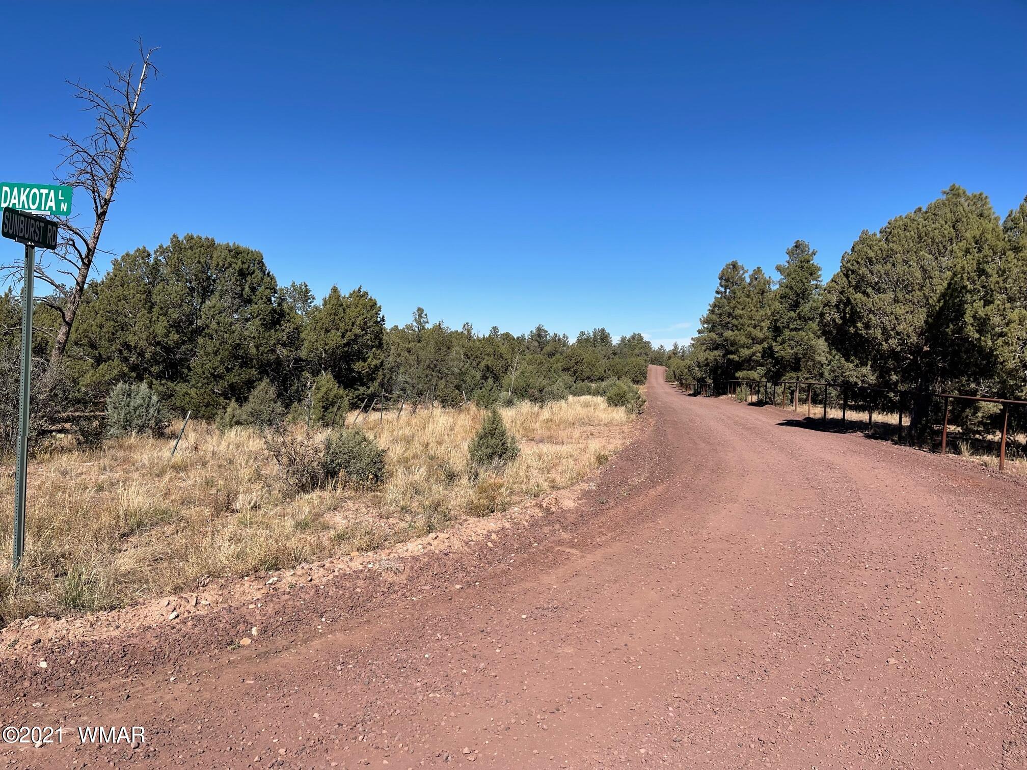 0 East Dakota & Sunburst Roads Show Low, AZ 85901 - Photo 7 of 8