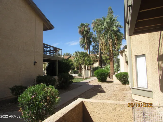 a view of a house with a yard and potted plants