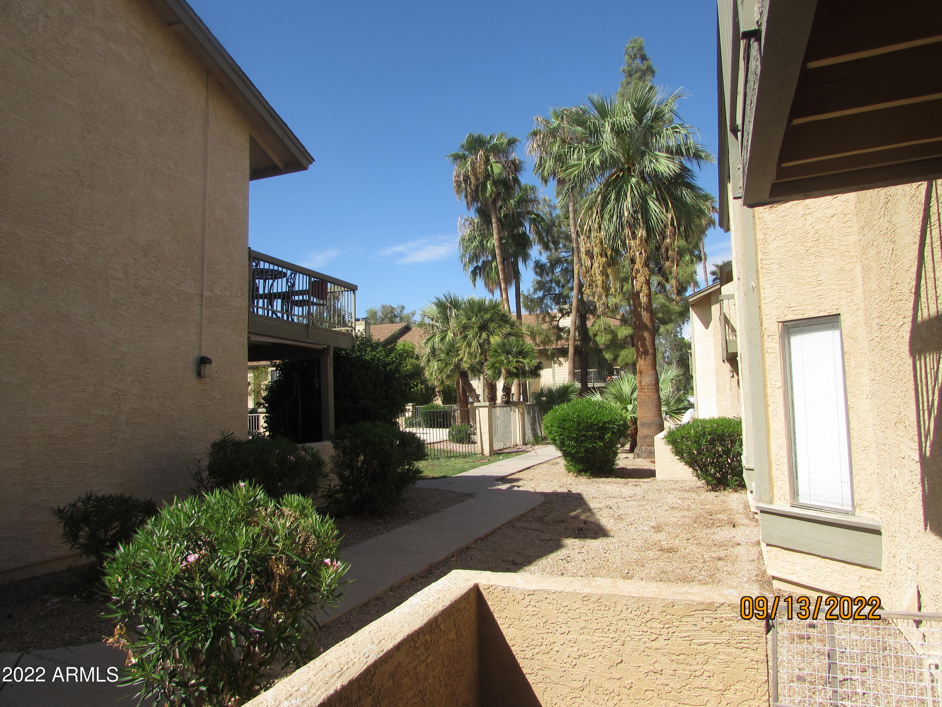 5236 West Peoria Avenue, Unit 115 Glendale, AZ 85302 - Photo 2 of 19 a view of a house with a yard and potted plants