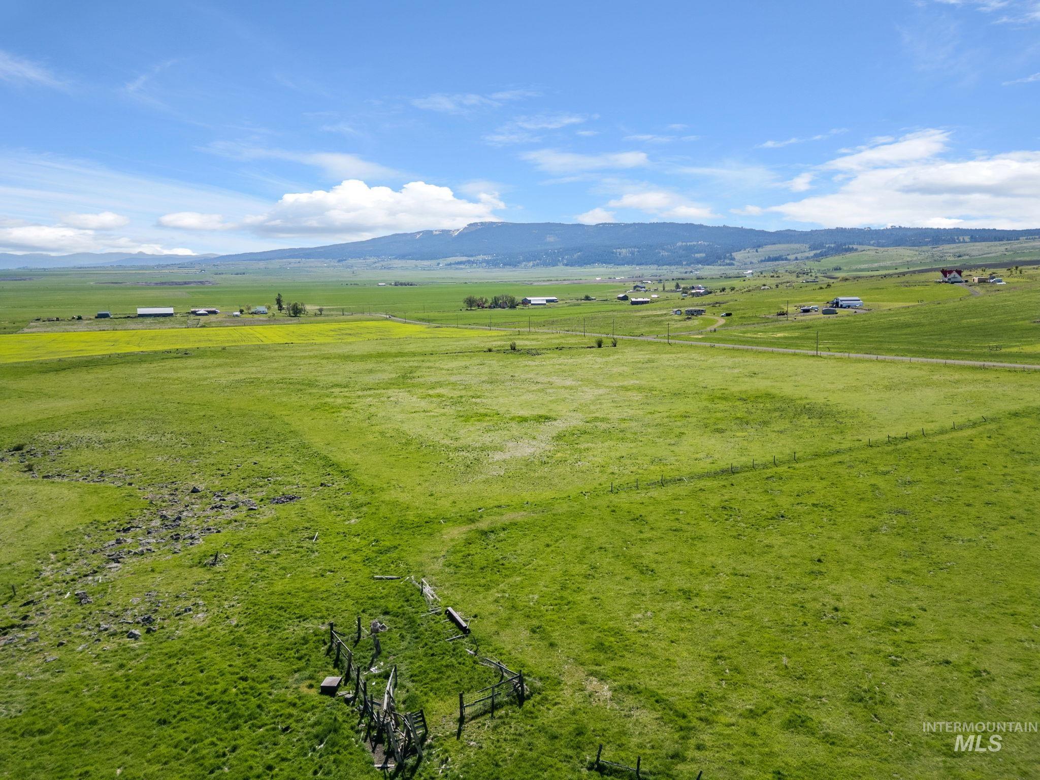 Lot 5 Gill Point Road Grangeville, ID 83530 - Photo 3 of 20 Overview of rural landscape featuring agricultural land and a mountainous background