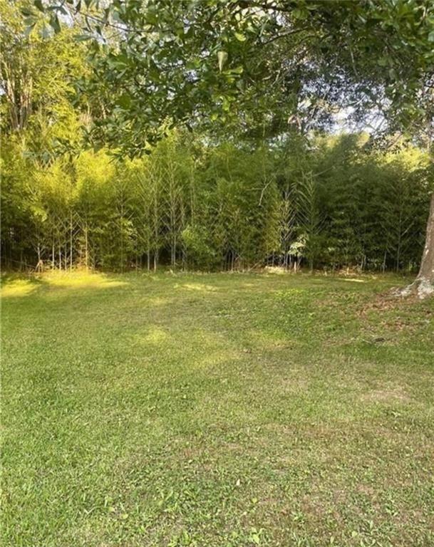 9226 Carlton Trail Northwest Covington, GA 30014 - Photo 4 of 16