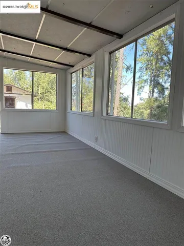 a view of a yard with plants and trees
