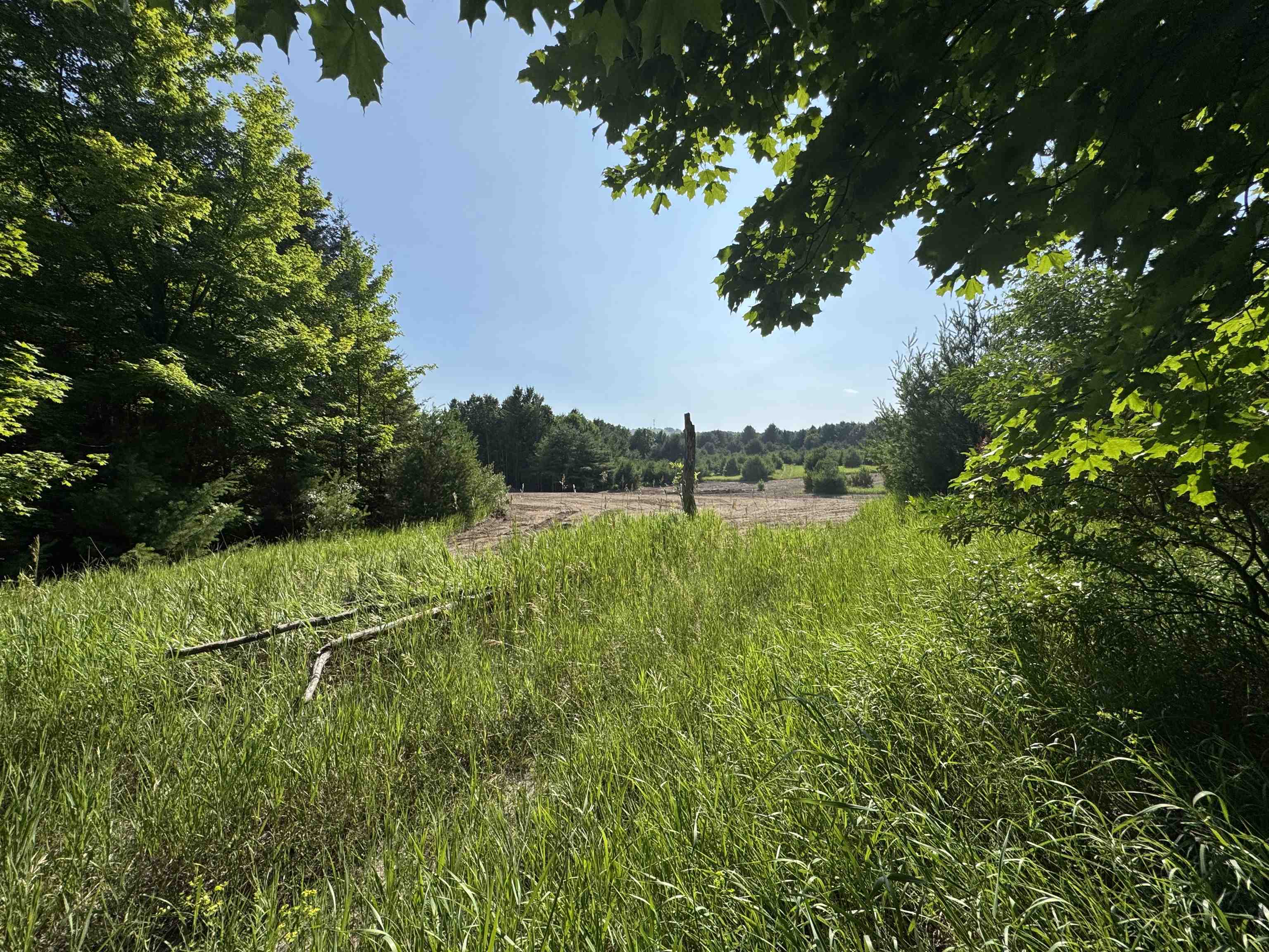 Lot #6 East Bellinger Road, Unit 6 BELLINGER ESTATES (FIN) Cedar, MI 49621 - Photo 8 of 34