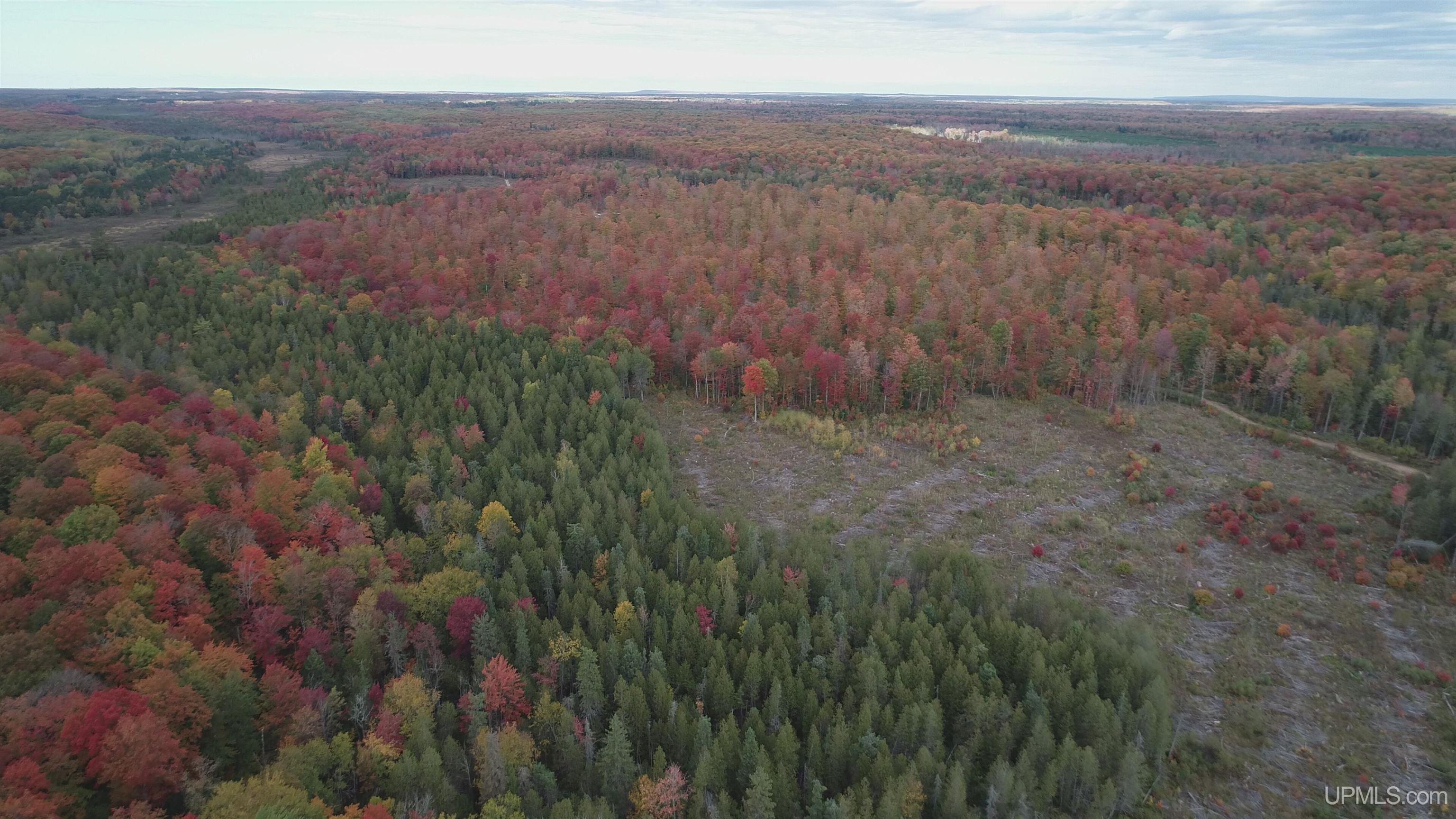 327 Rd Rumely Mi 49826 Road Skandia, MI 49885 - Photo 19 of 23