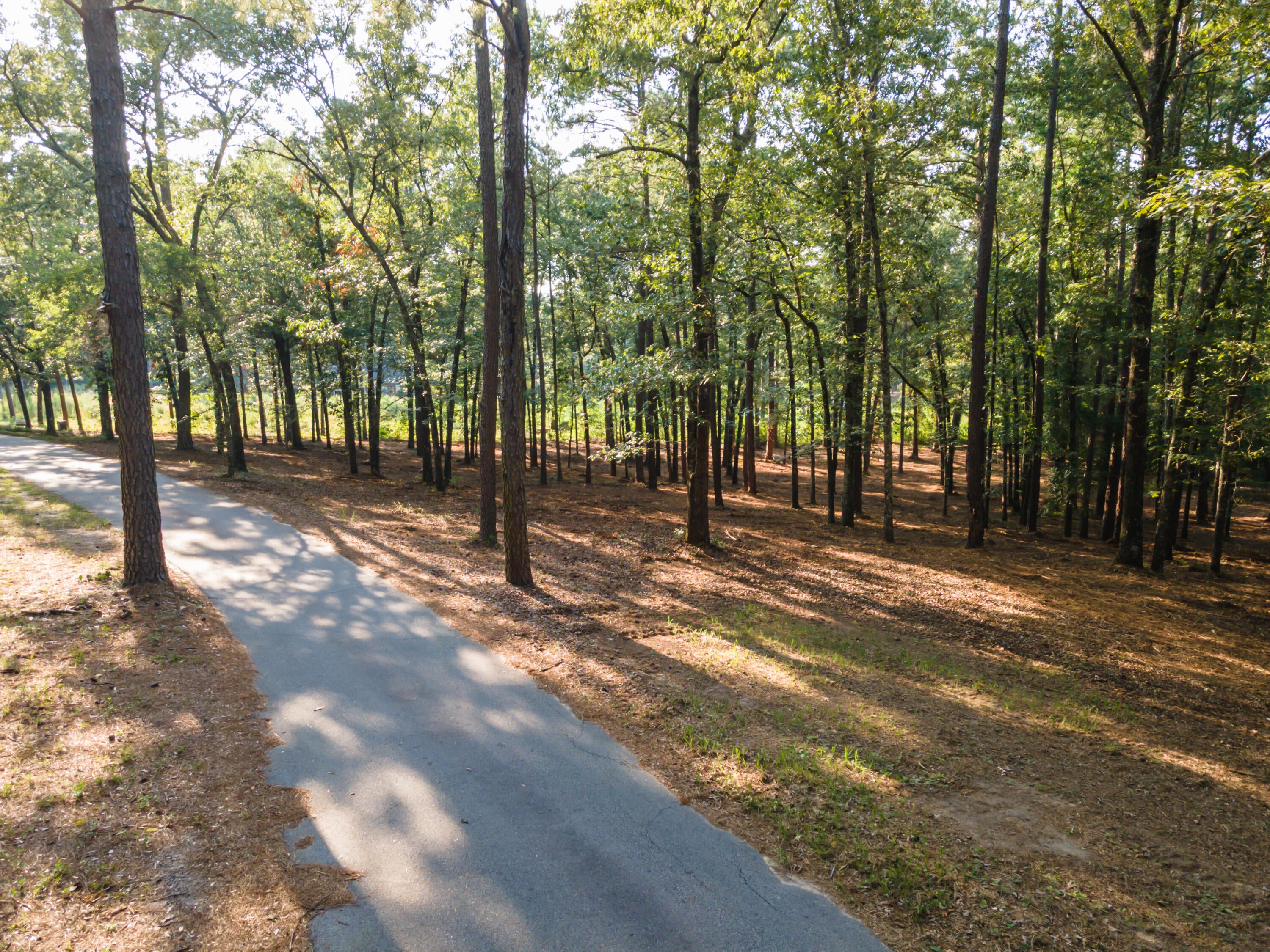 Tbd Edisto Lake Road, Unit 39 Wagener, SC 29164 - Photo 35 of 39 Gallery Image 35