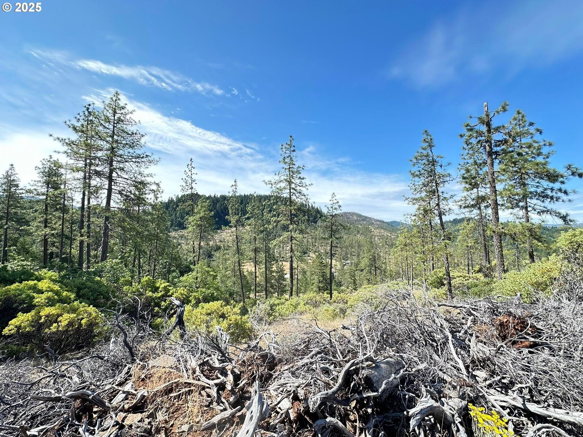 3300 Waldo Road Cave Junction, OR 97523 - Photo 3 of 16