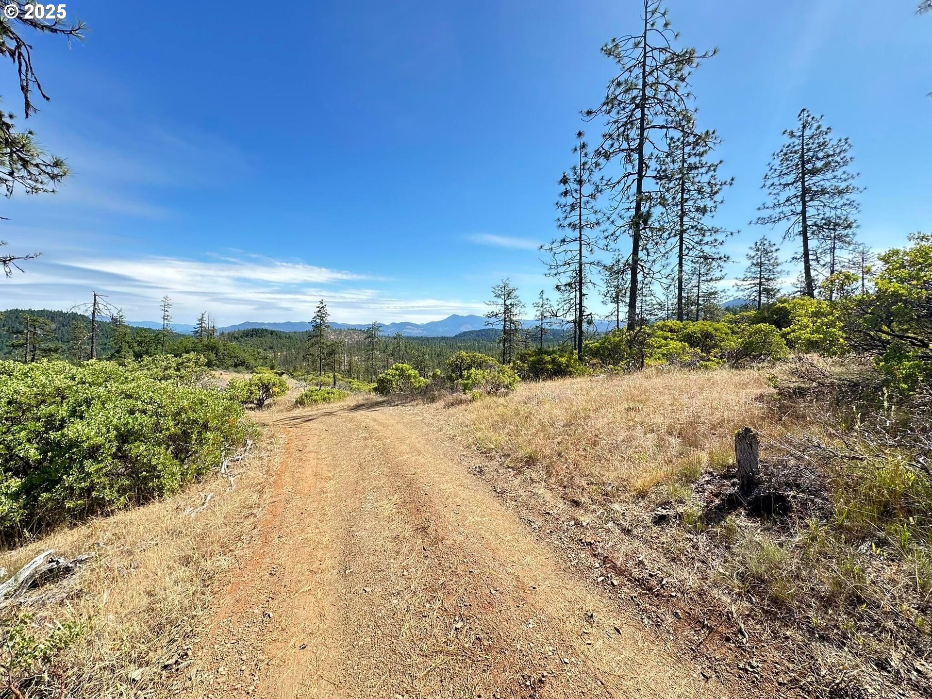 3300 Waldo Road Cave Junction, OR 97523 - Photo 7 of 16