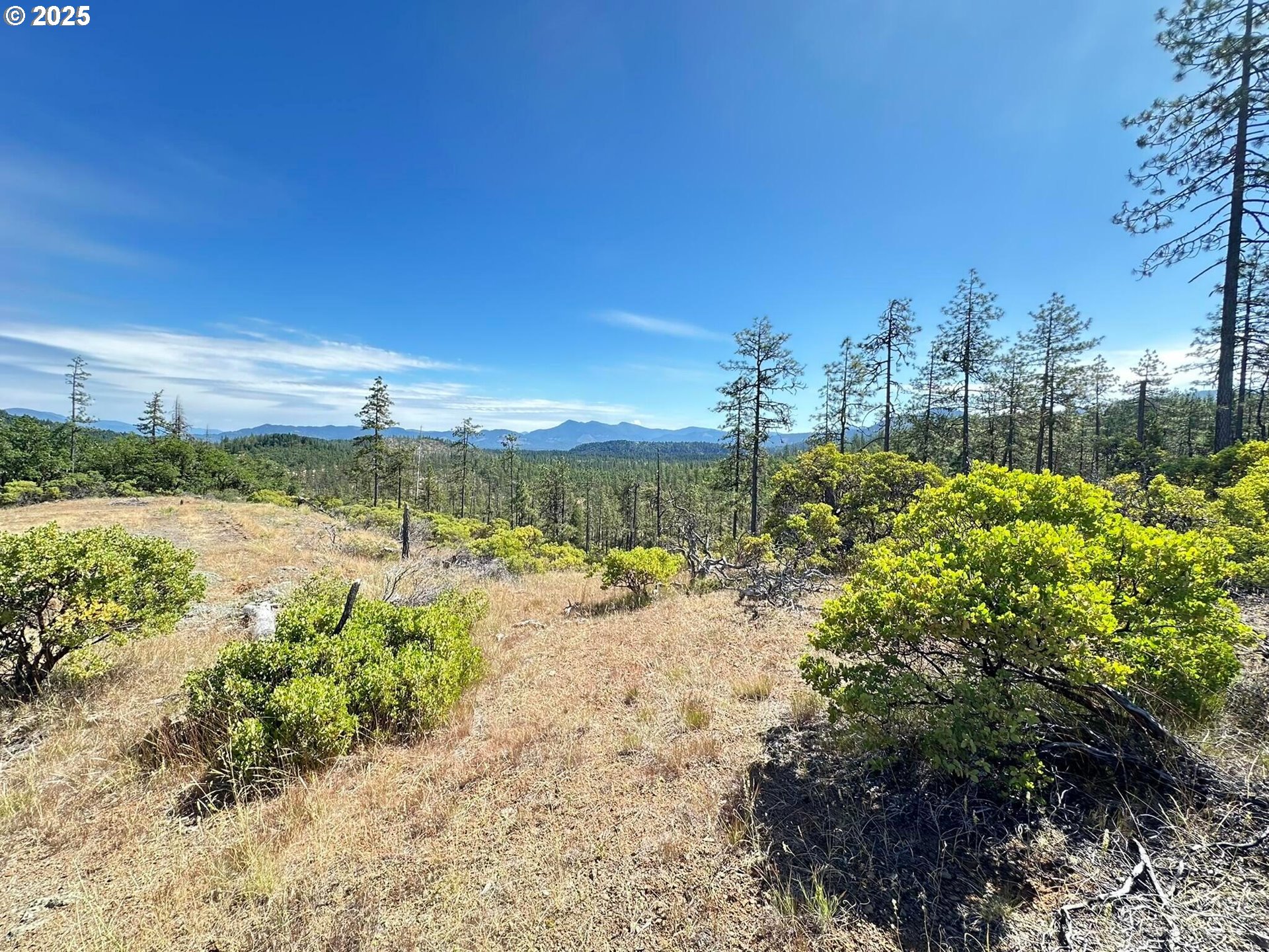 3300 Waldo Road Cave Junction, OR 97523 - Photo 8 of 16