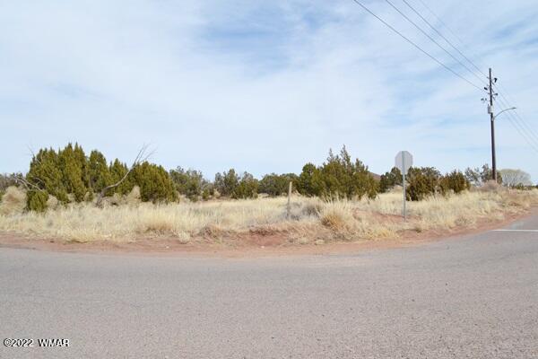 Tbd Porter Street Snowflake, AZ 85937 - Photo 11 of 13