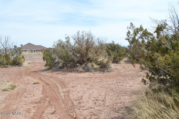 Tbd Porter Street Snowflake, AZ 85937 - Photo 2 of 13