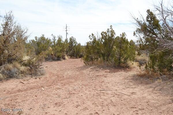 Tbd Porter Street Snowflake, AZ 85937 - Photo 4 of 13