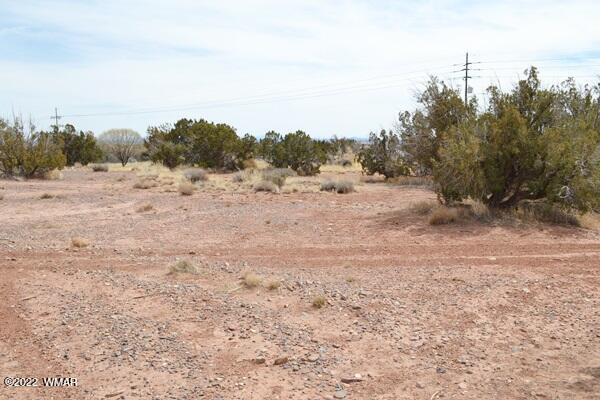 Tbd Porter Street Snowflake, AZ 85937 - Photo 5 of 13