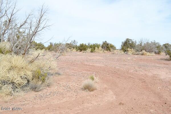 Tbd Porter Street Snowflake, AZ 85937 - Photo 6 of 13