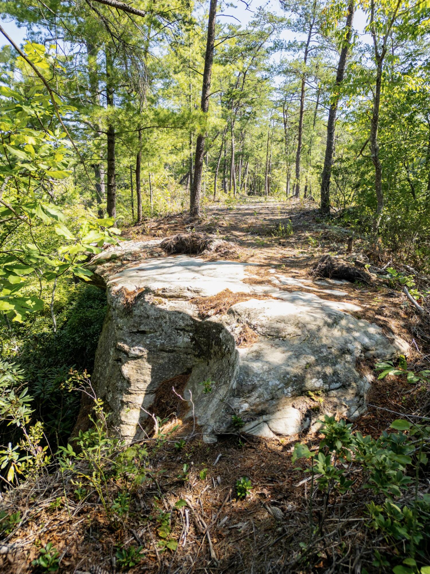 Highlands Of Rrg Lot 646 Highlands Of Rrg Trail Zoe, KY 41397 - Photo 6 of 19 DJI_0686-Enhanced-SR
