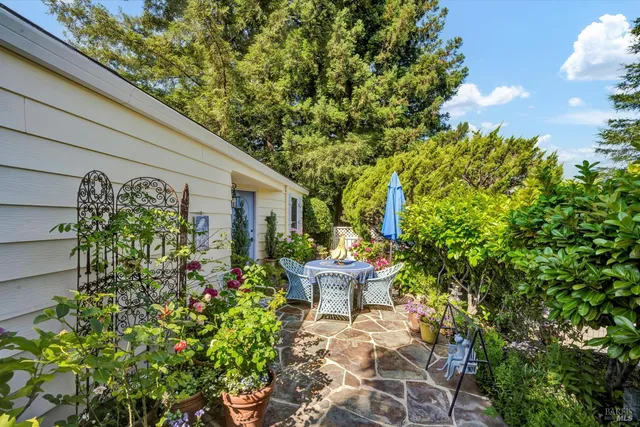 a view of a backyard with plants and a garden
